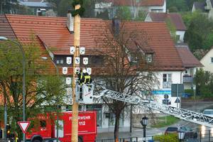 Maibäume in Ochsenhausen und Umgebung errichtet